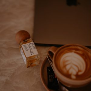 لویی ویتون سیتی آف استارز